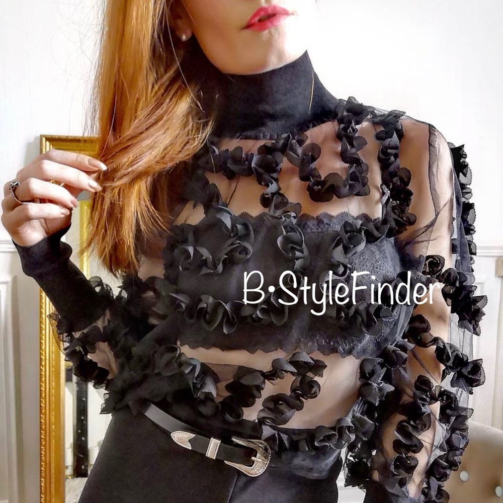 VGUC ZARA Blogger’s Fav| Constrasting Semi-Sheer Top - Picture 7 of 15